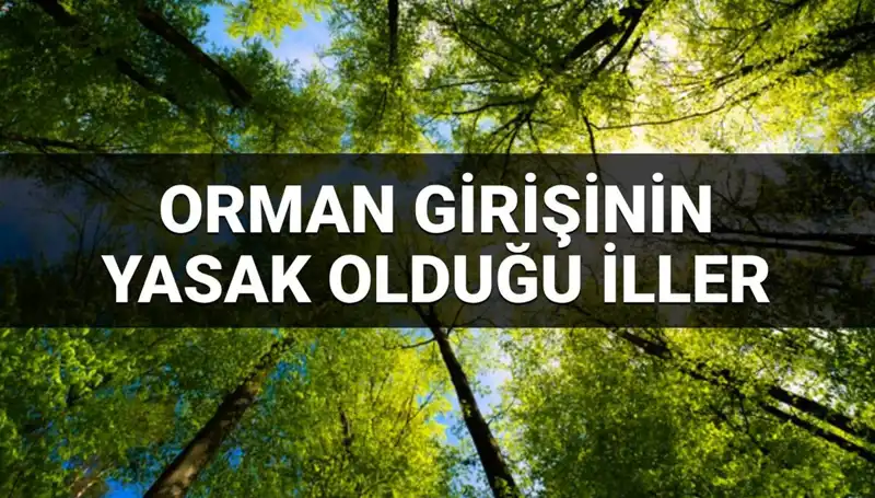 2025 Yılında Ormana Girmesi Yasak Olan İller: Bilmeniz Gerekenler