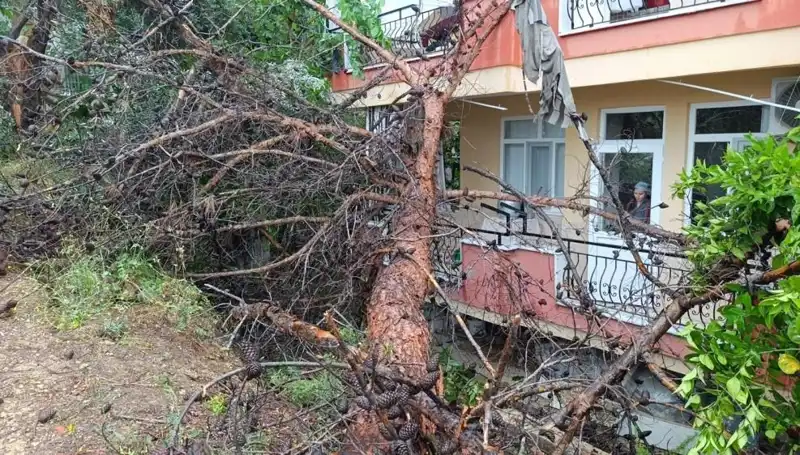 Yağmurun Kurbanı: Dev Bina Saniyeler İçinde Yıkıldı!