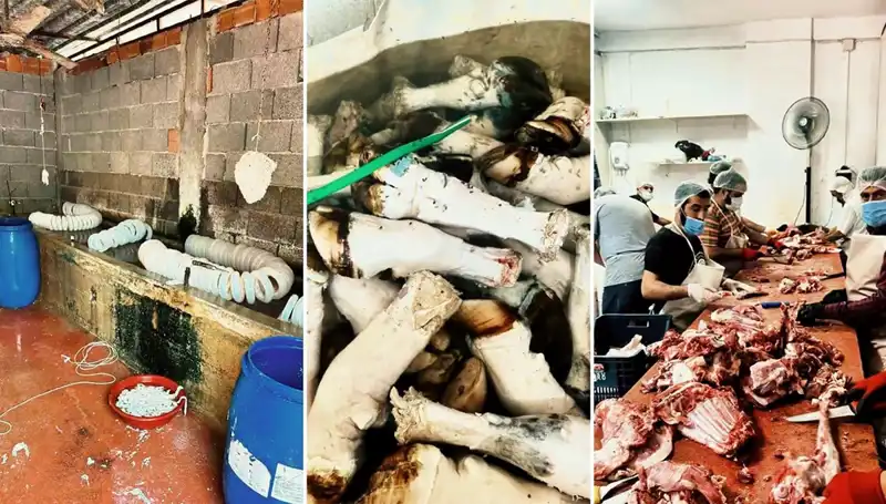 Adana'da Yüzlerce Kilo Paça Ele Geçirildi: Skandal Ortaya Çıktı!