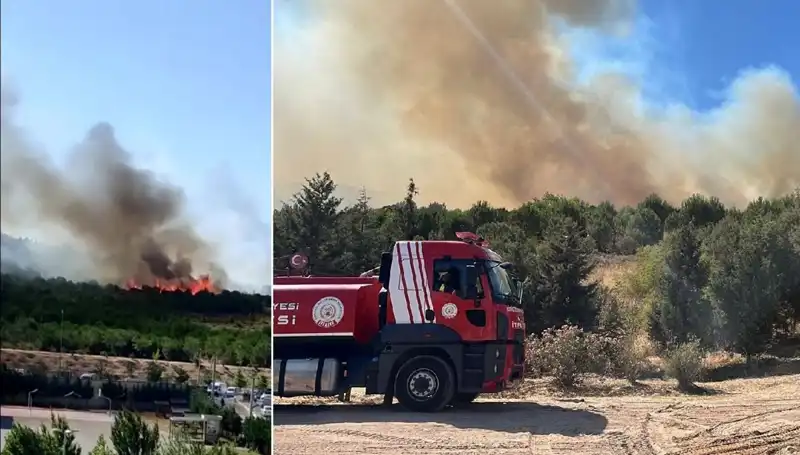 Gebze’de Aniden Patlak Veren Orman Yangını: Nedenleri ve Sonuçları