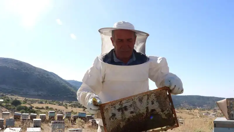 25 yıl önce bırakılan mobilya sektörü, bu yıl 2 ton üretimle geri döndü