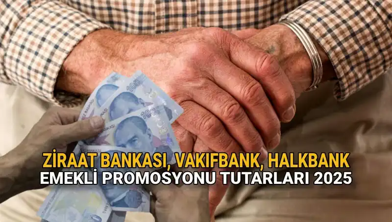2025 Emekli Banka Promosyonları: Kamu Bankaları Ne Sunuyor?