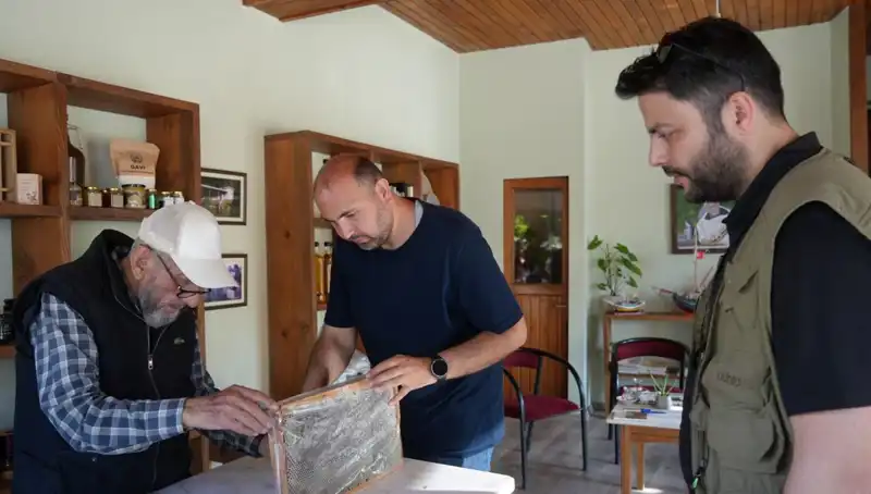 Hem Şifa Hem Zehir: 1 Çay Kaşığıyla Sınırlı Tüketim Tavsiyesi