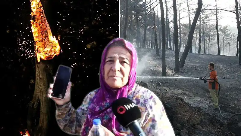 Çanakkale’deki Orman Yangınları Kontrol Altına Alındı: Sır Perdesi Aralanıyor