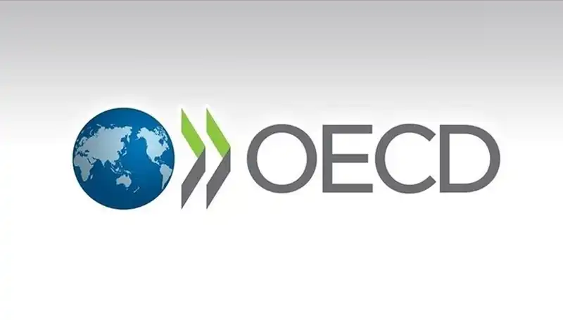 OECD, Türkiye'nin Ekonomik Büyüme Tahminini Revize Etti!