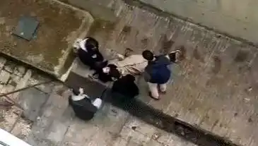 Kampüste Köpek Panik Yaratırken, Öğrenci 4 Metreden Betona Düştü!