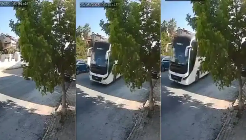Yolda Yatan Köpeği Ezip Giden Sürücünün Yaşadığı Olay Sosyal Medyada Gündem Oldu