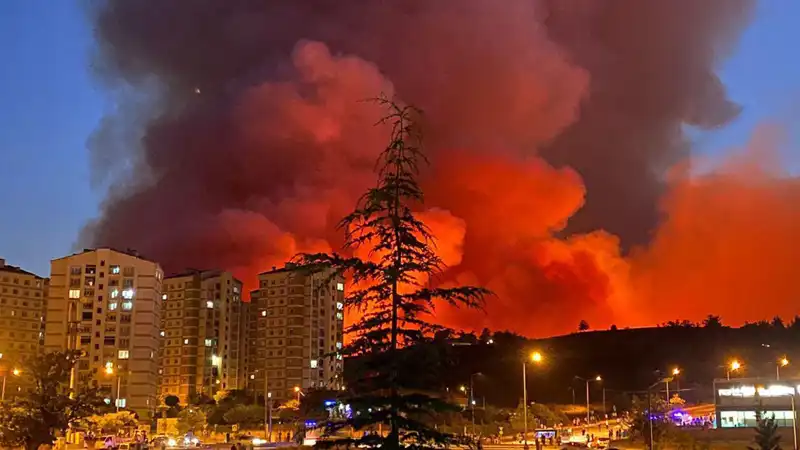 Bursa'da Yangınların Ardında Yatan Sebepler ve Etkileri
