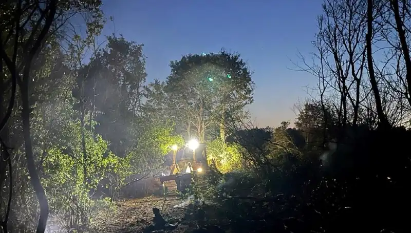 Edirne'de Büyüyen Orman Yangını Kontrol Altına Alındı