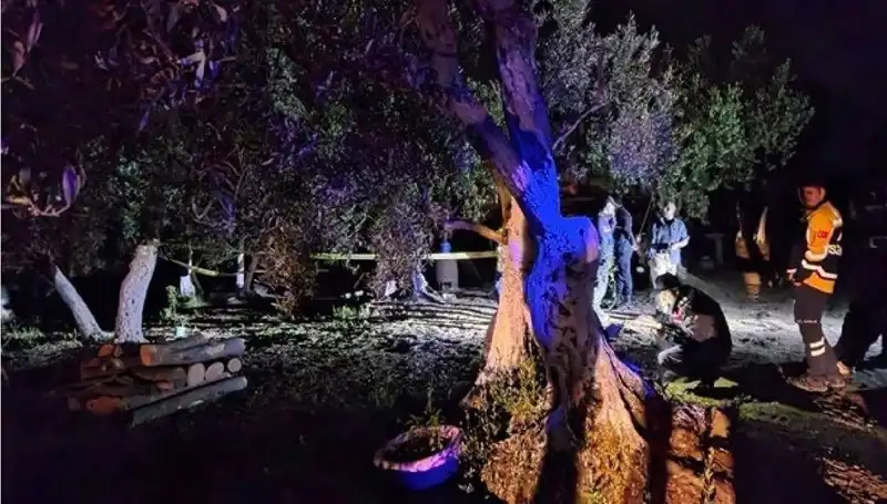 Çiftlikte Baltalı Vahşet: Olayın Perde Arkasındaki Gerçekler Ortaya Çıktı