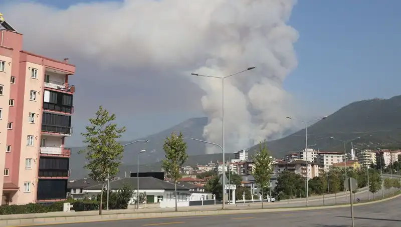 Denizli'de Korkutan Orman Yangını: Şüpheli Gözaltında, Olayın Perde Arkası Ne?
