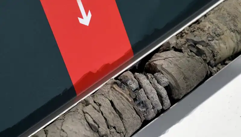 Müze Otoparkında Bulunan Dinozor Fosili, Tarihe Işık Tutuyor