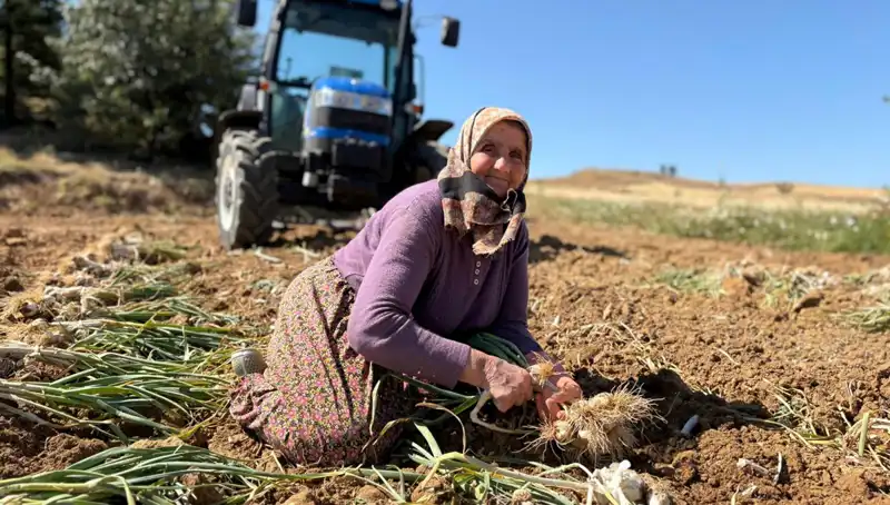 Selenyum Zengini Tarım Ürünü: Yeni Fırsatlarla Dolu bir Gelecek