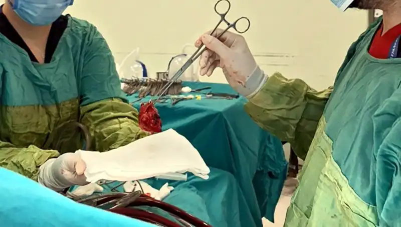 Kalp Kapağındaki Çürümeyi Yenmek: 7 Saatlik Mucizevi Ameliyat