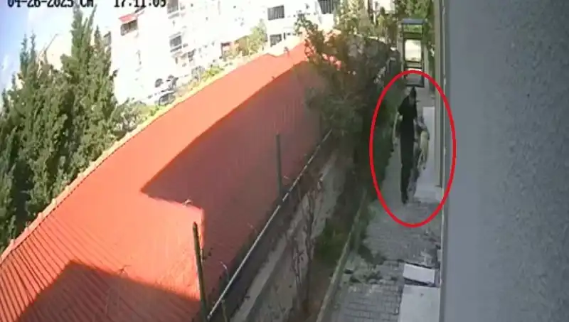 Veteriner Doktorun Şoke Eden Eylemi: Evdeki Köpeklerini Parçaladı!
