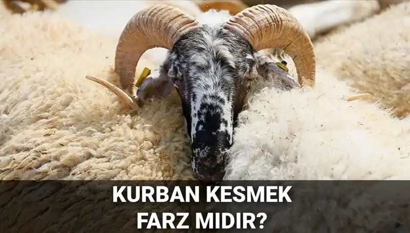 Kurban Bayramı Yaklaşıyor: Kurban Kesmek Farz mı, Hükmü Nedir?