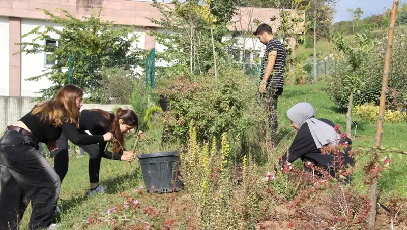 Düzce’nin Gizli Yıldızı: Hayaller Gerçek Oluyor!